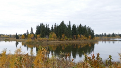 See Idylle Alberta (Alexander Mirschel)  Copyright 
Informazioni sulla licenza disponibili sotto 'Prova delle fonti di immagine'